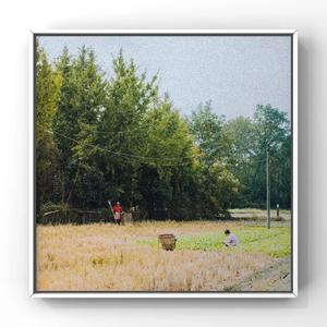 打手心网站链接
